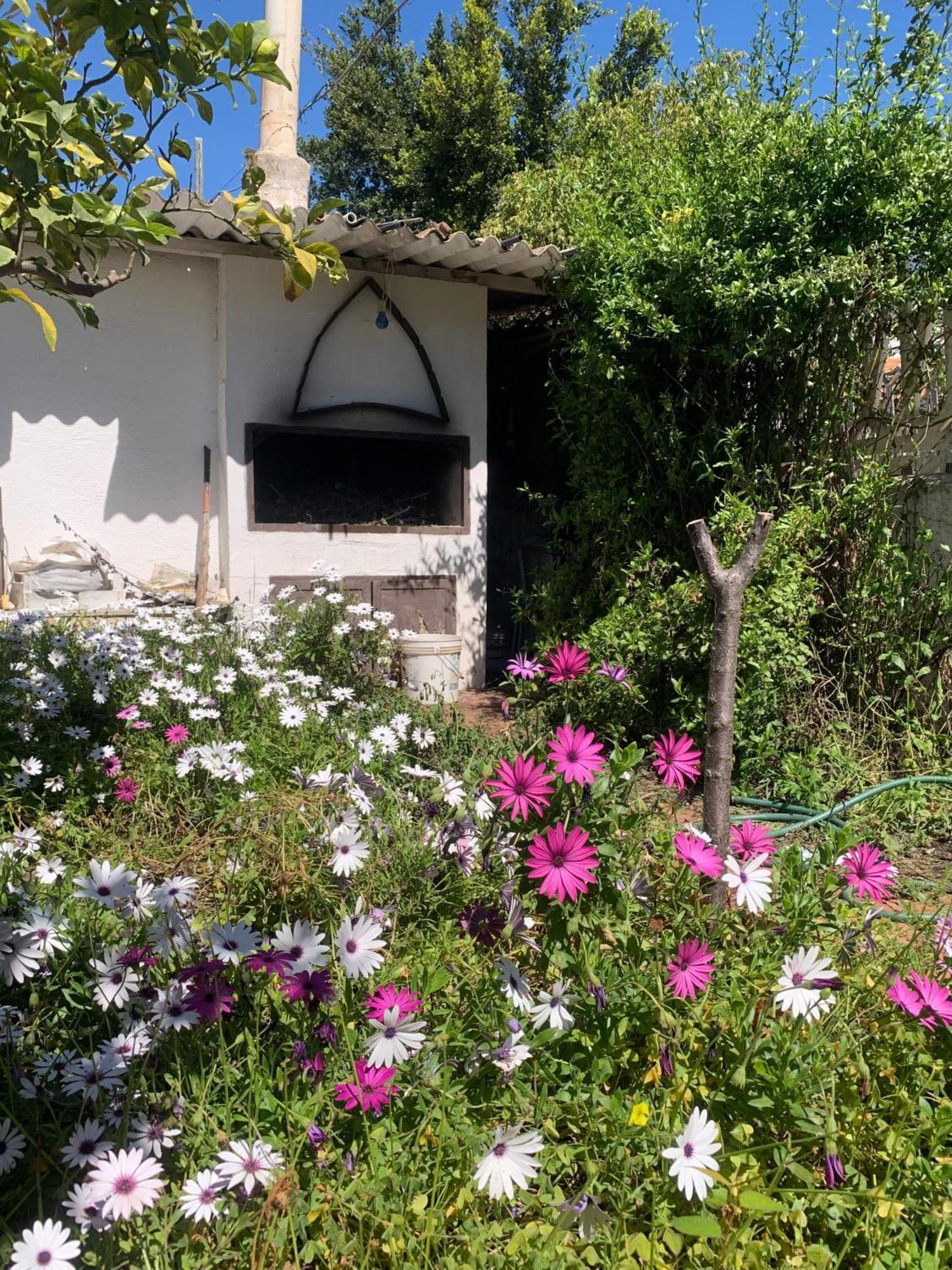 Villa Casa Tranquilla A Pochissimi Passi Dal Mare Sant'Andrea  Exterior foto